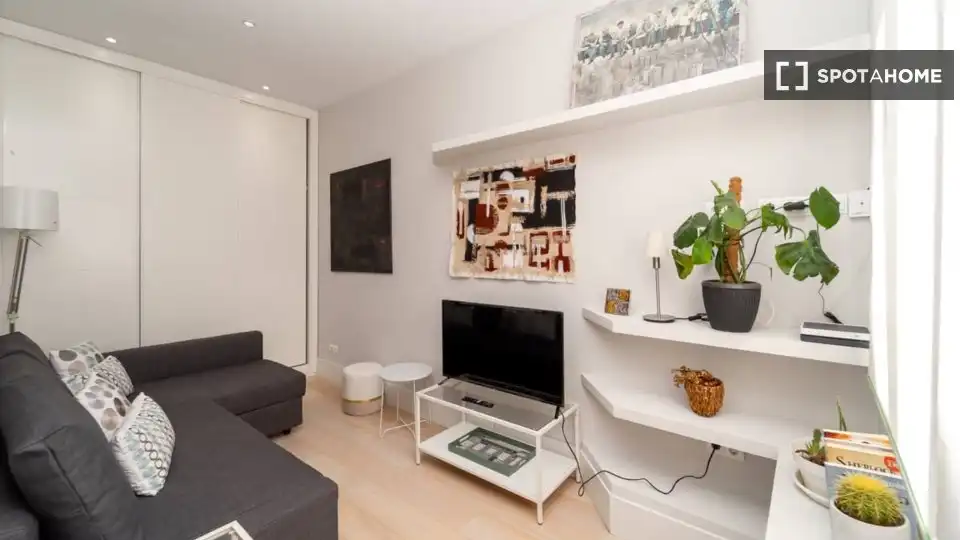 Living room of Flat for rent in Madrid  with Air Conditioner, Heating and Furnished