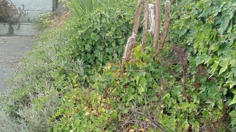 Foto 4 de Casa o xalet en venda a Coles, Ourense