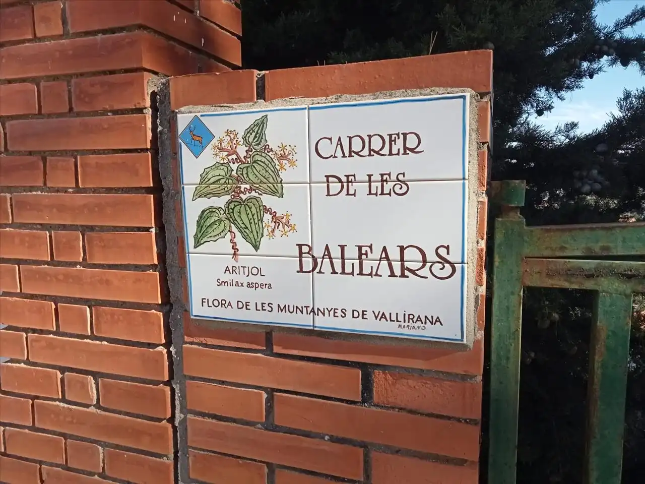 Terreny residencial en venda a BALEARS, imagen 8