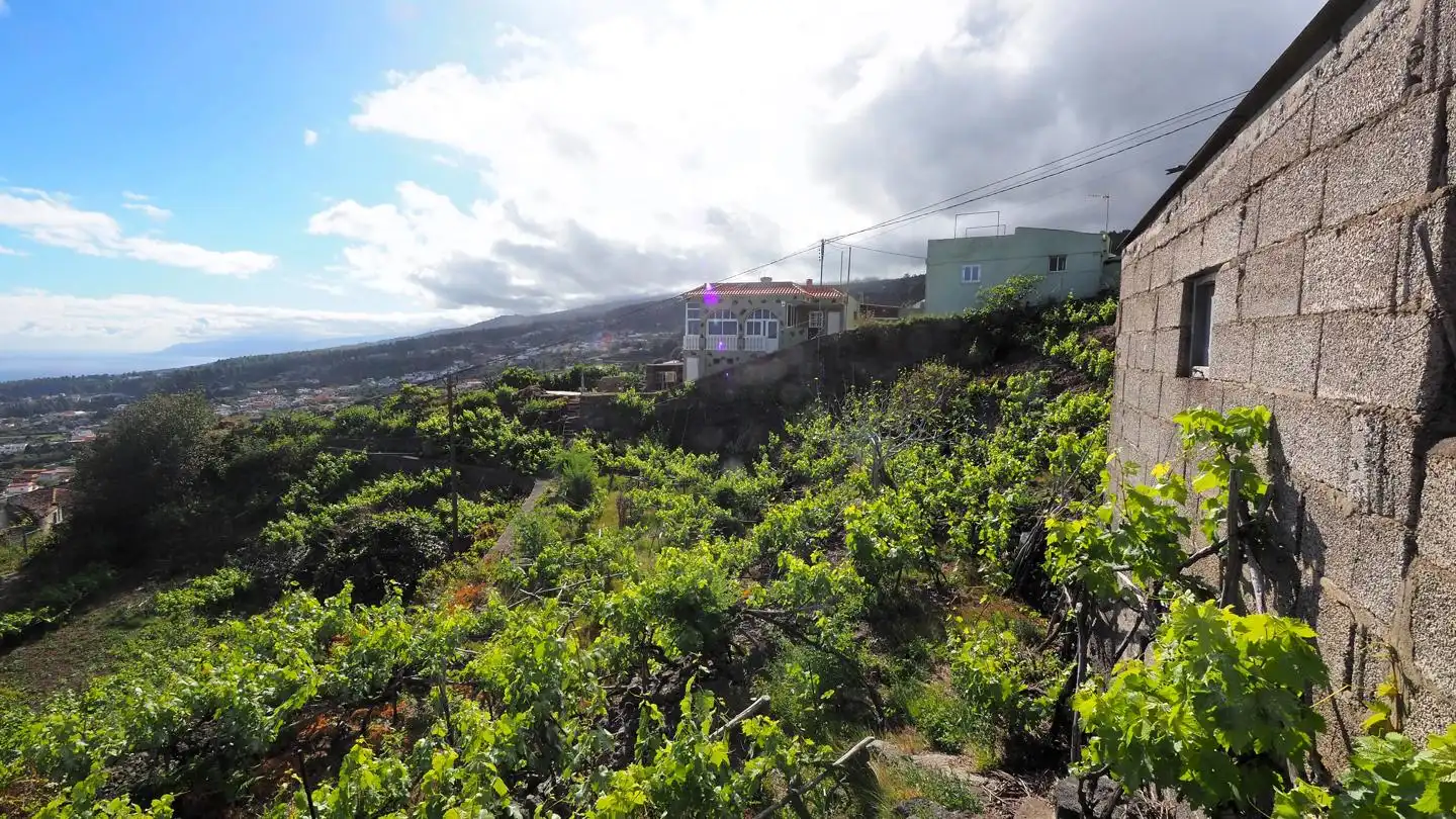 Lands and plots for sale in La Vega - El Amparo - Cueva del Viento, imagen 2