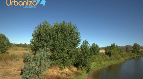 SE VENDE PARCELA DE RECREO RUSTICA EN CARRION, immagine 5