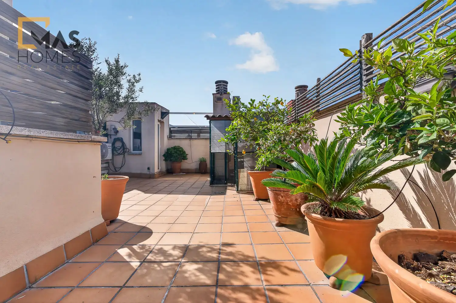 Ático con terraza en venta en Carrer de l'Escola Pia, imagen 17