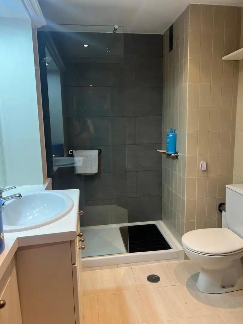 Bathroom of Flat for rent in Arganzuela