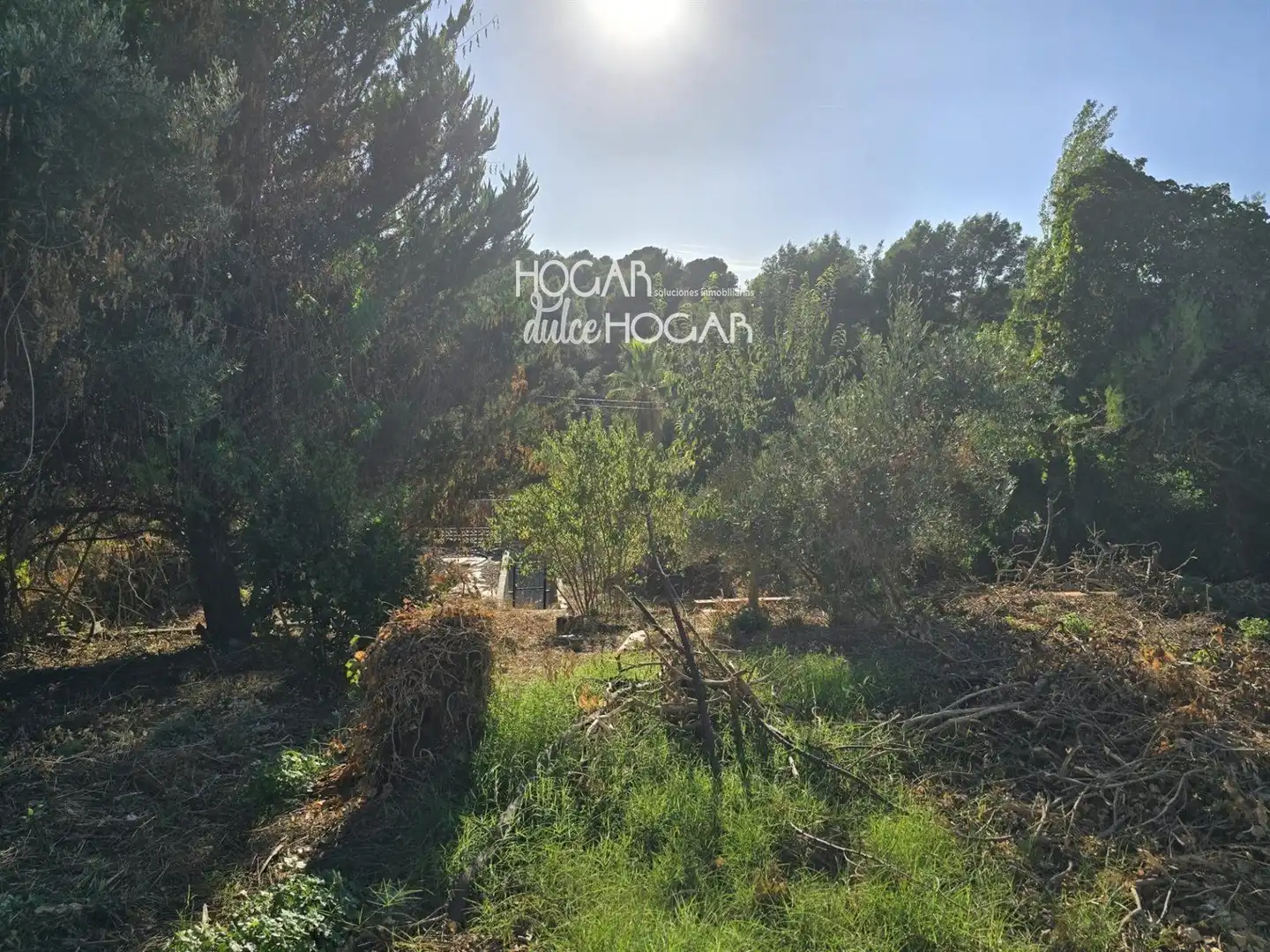 Terrain rustique à vendre à de la Morera, imagen 9