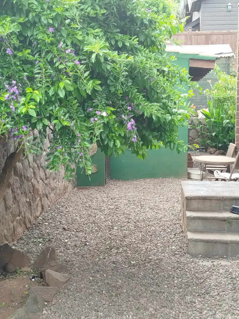 Jardín de Casa o chalet en venta en Tacoronte con Jardín privado, Terraza y Trastero