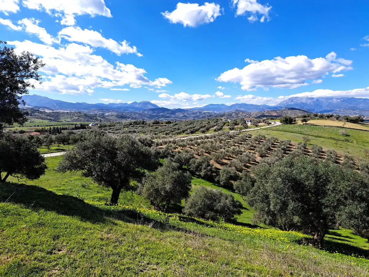 Terreni e lotti in vendita a Coín, imagen 19