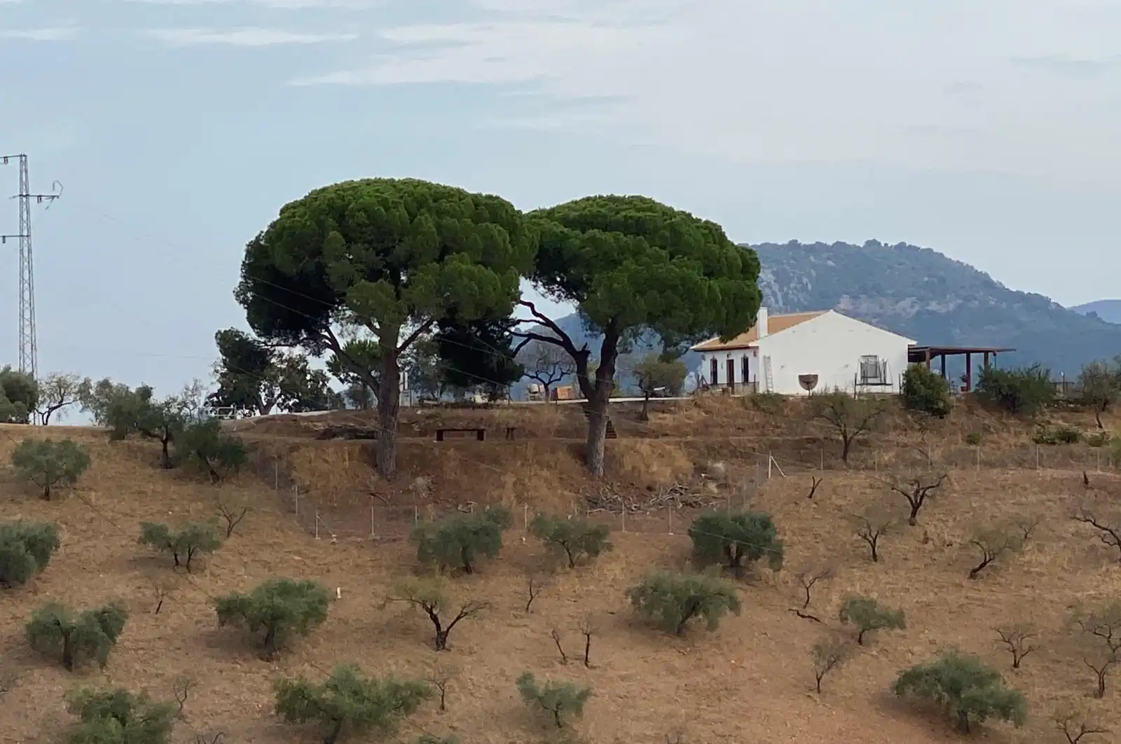 Terrenys i solars en venda a Colmenar, imagen 14