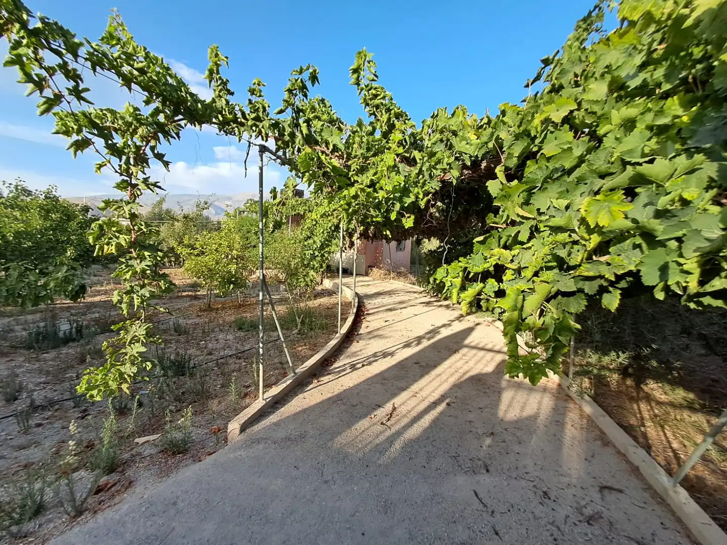 Finca rústica en venta en Berja