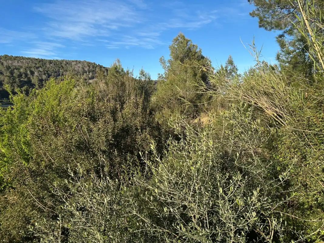 Finca rústica en venda en Oliva amb Moblat
