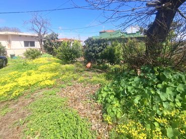 House with garden for sale in Calle Carril Alto 62