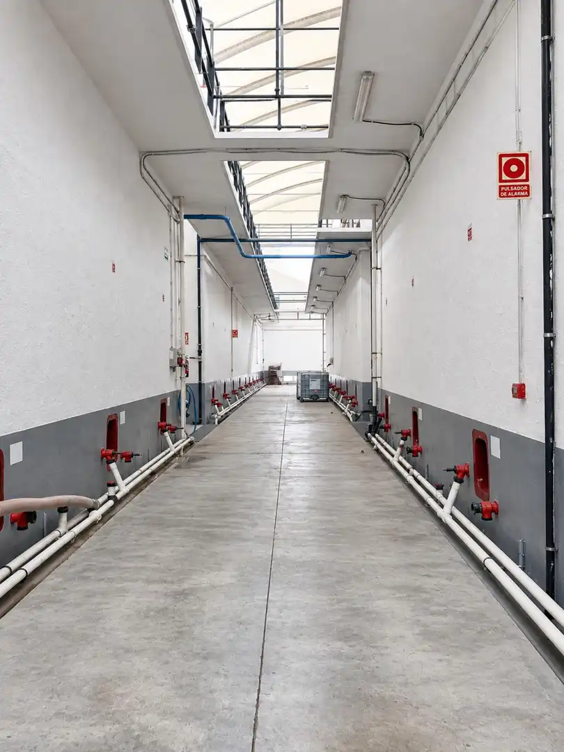 Nave industrielle à vendre à Subirats, imagen 6