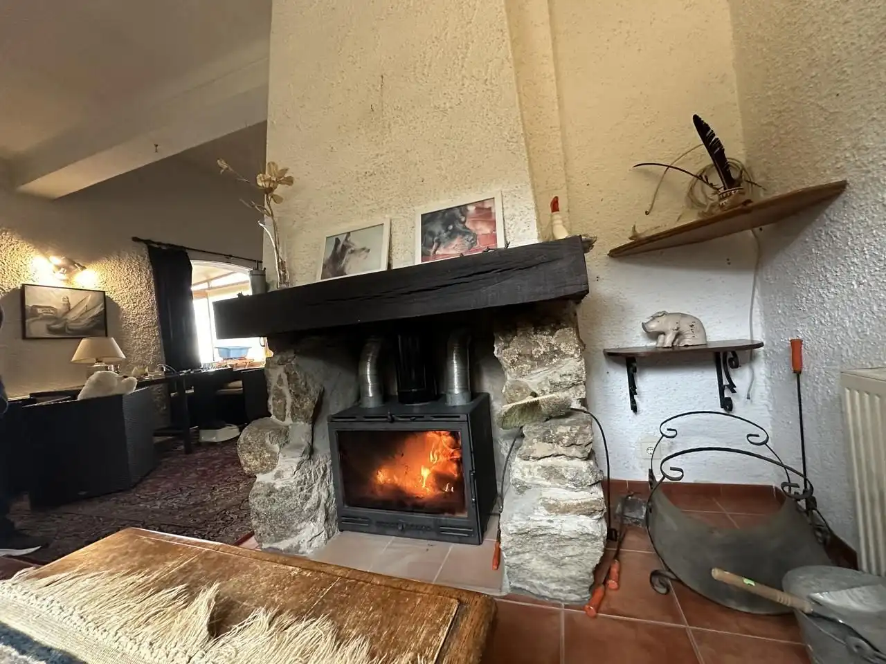 Detached house with pool for sale in Carrer camino Can Muni, imagen 14