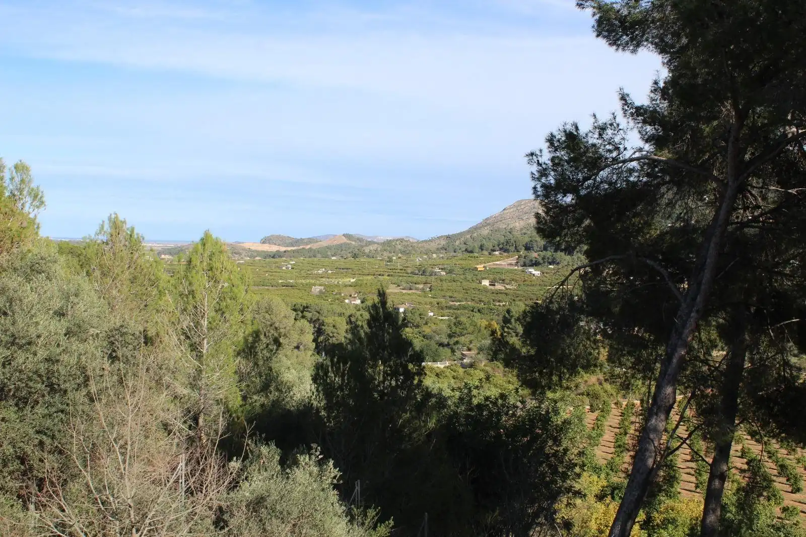 Terrenos y solares en venta en Urbanitzacions i Pedanies Nord, imagen 8