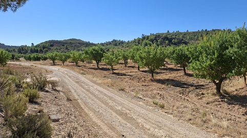 Foto 4 de Finca rústica en venta en Edificio Diseminados, Maella, Zaragoza