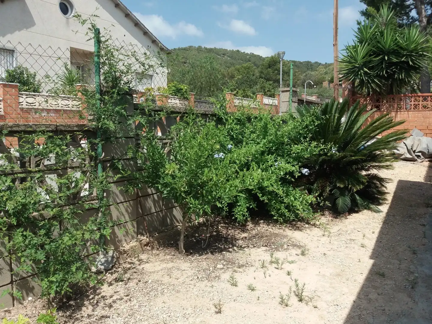 Terreno residenziale in vendita a Mas Borràs - Coto del Rey, imagen 17