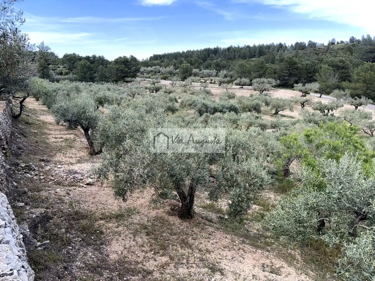 Country homes for sale in Tortosa