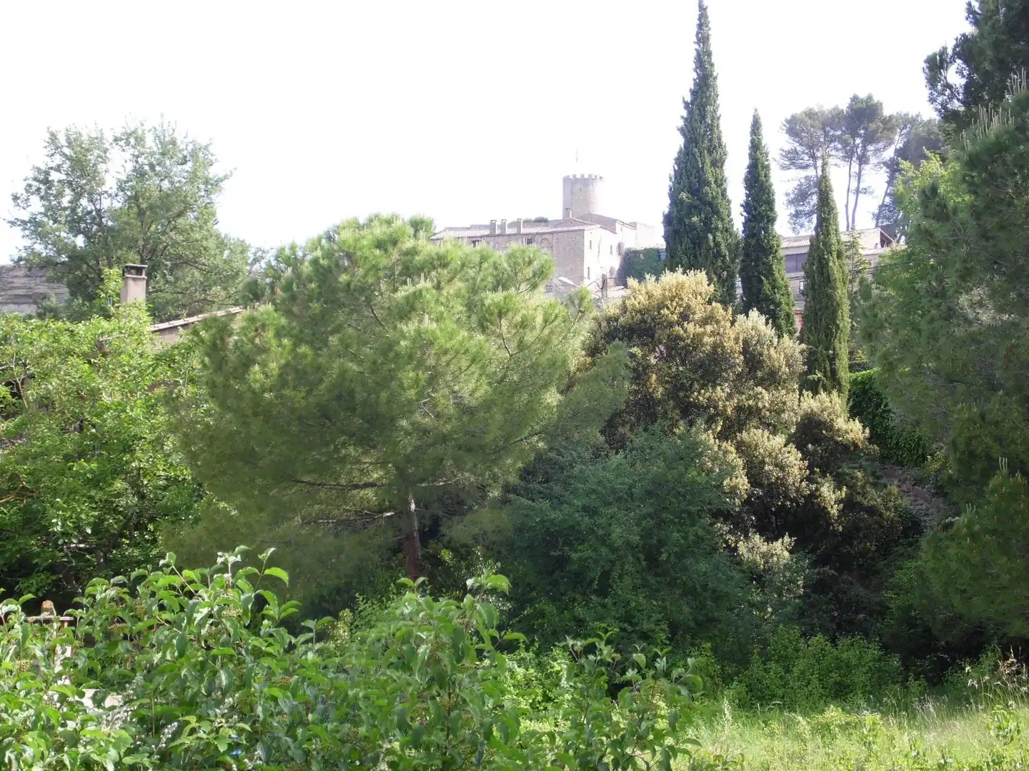 Terreny residencial en venda a Talamanca, imagen 10