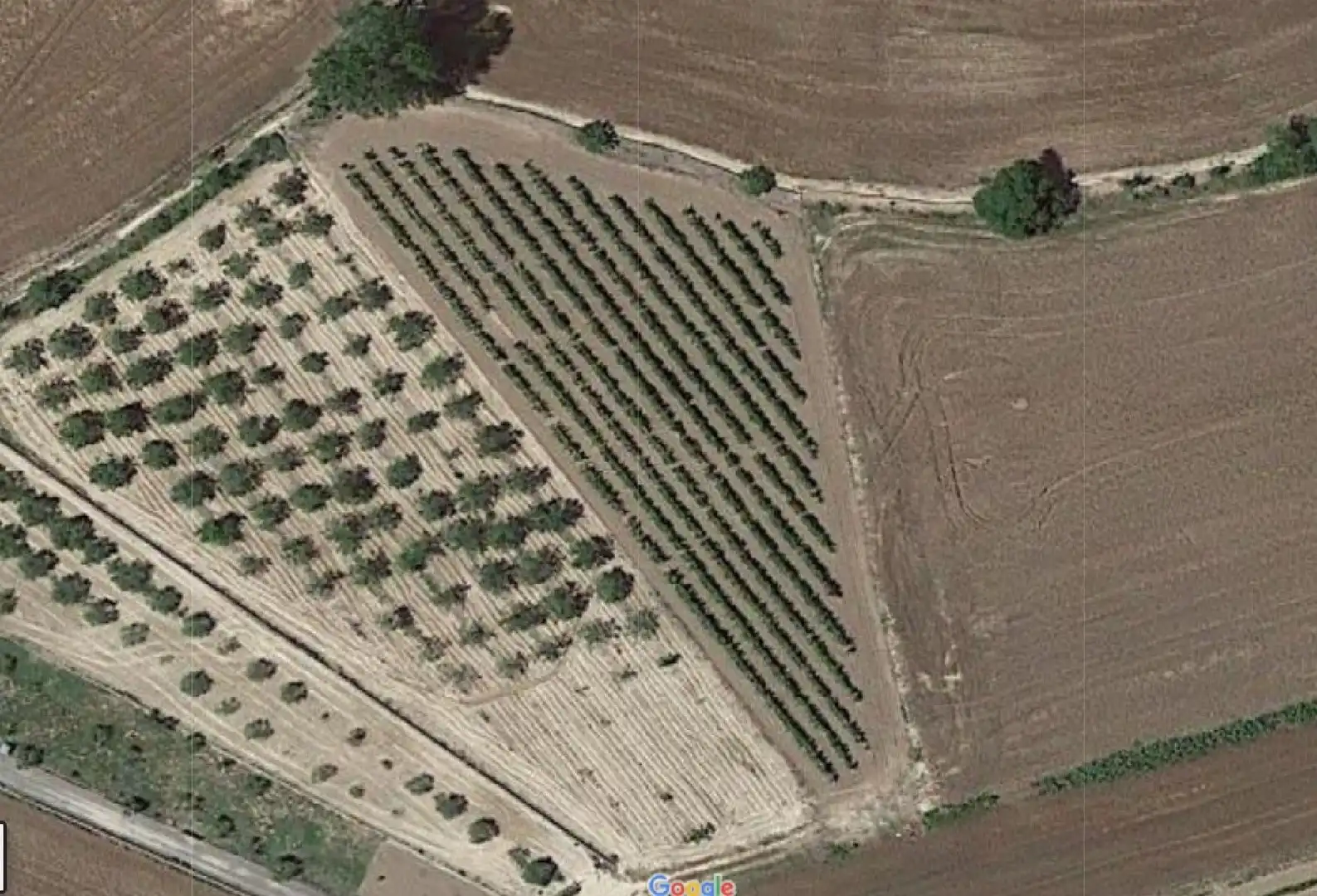 Rural land for sale in Agoncillo, imagen 2
