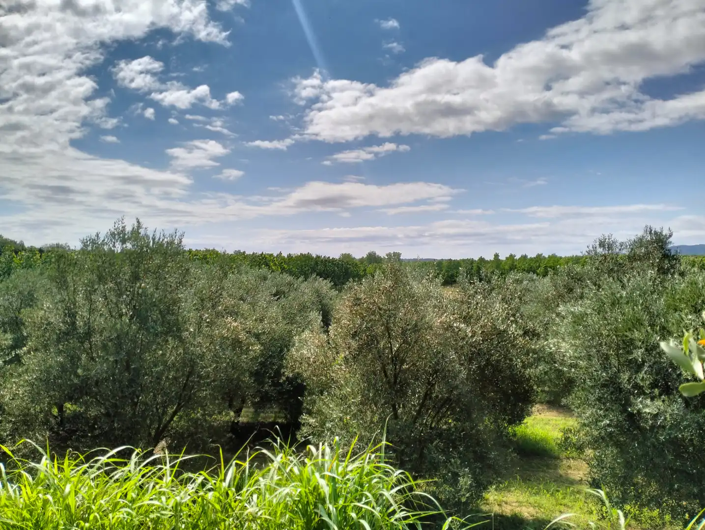 Casa o xalet en venda en Cervià de Ter amb Jardí privat, Terrassa i Balcó