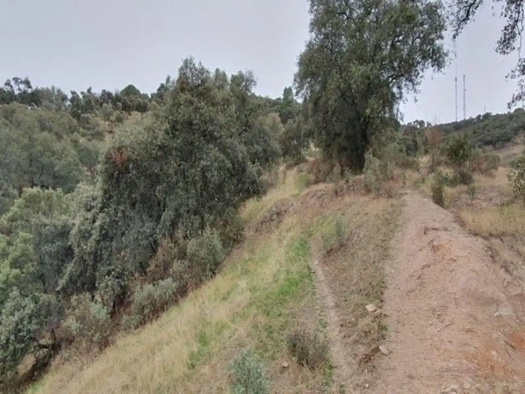Terreny rústic en venda a VILLANUEVA DE CORDOBA, imagen 3