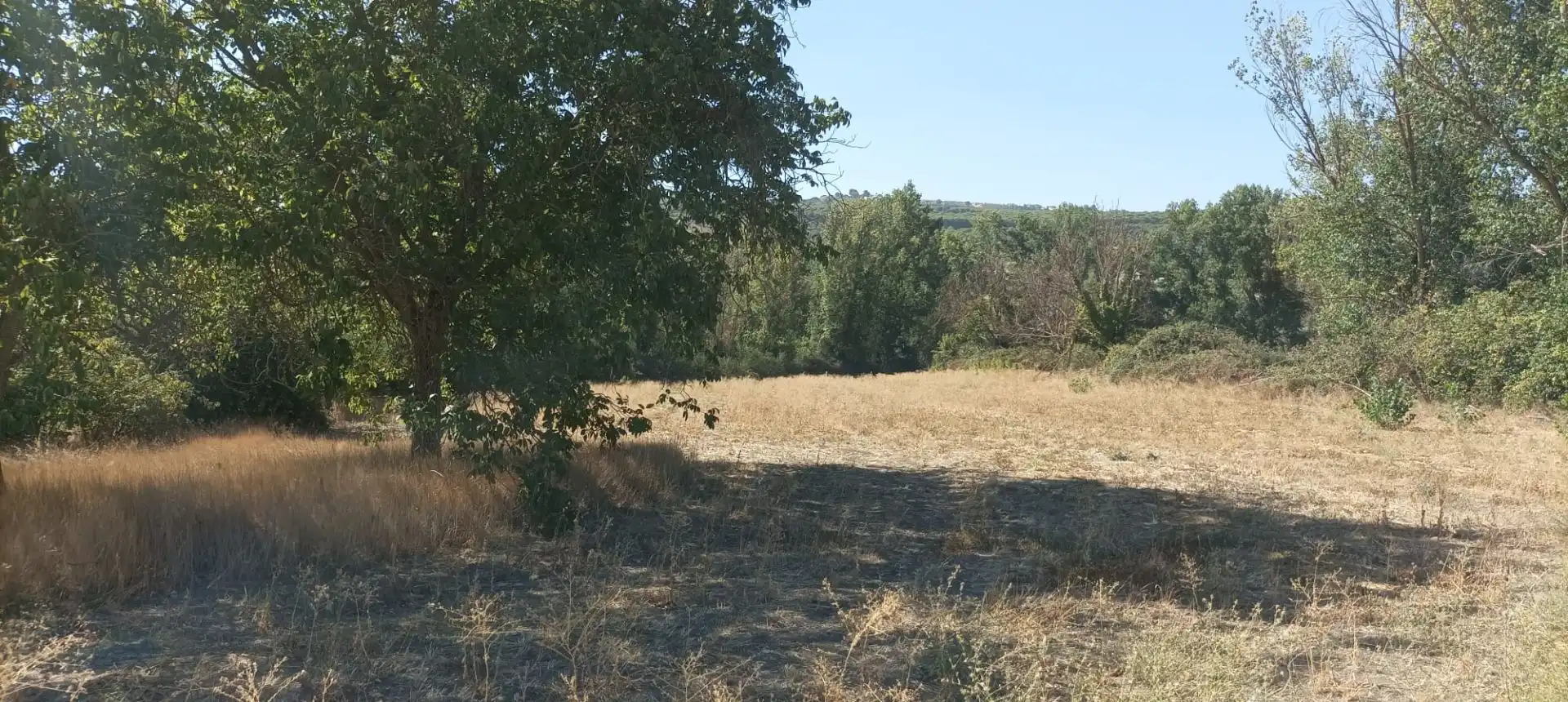 Casa rústica amb piscina en venda a Partidas Norte, imagen 17