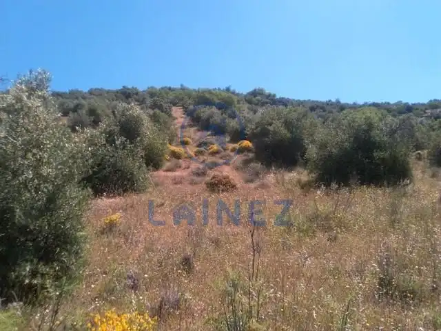 Rural land for sale in Espiel, imagen 15