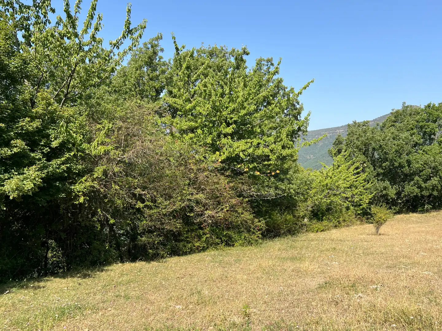Land for sale in Broto