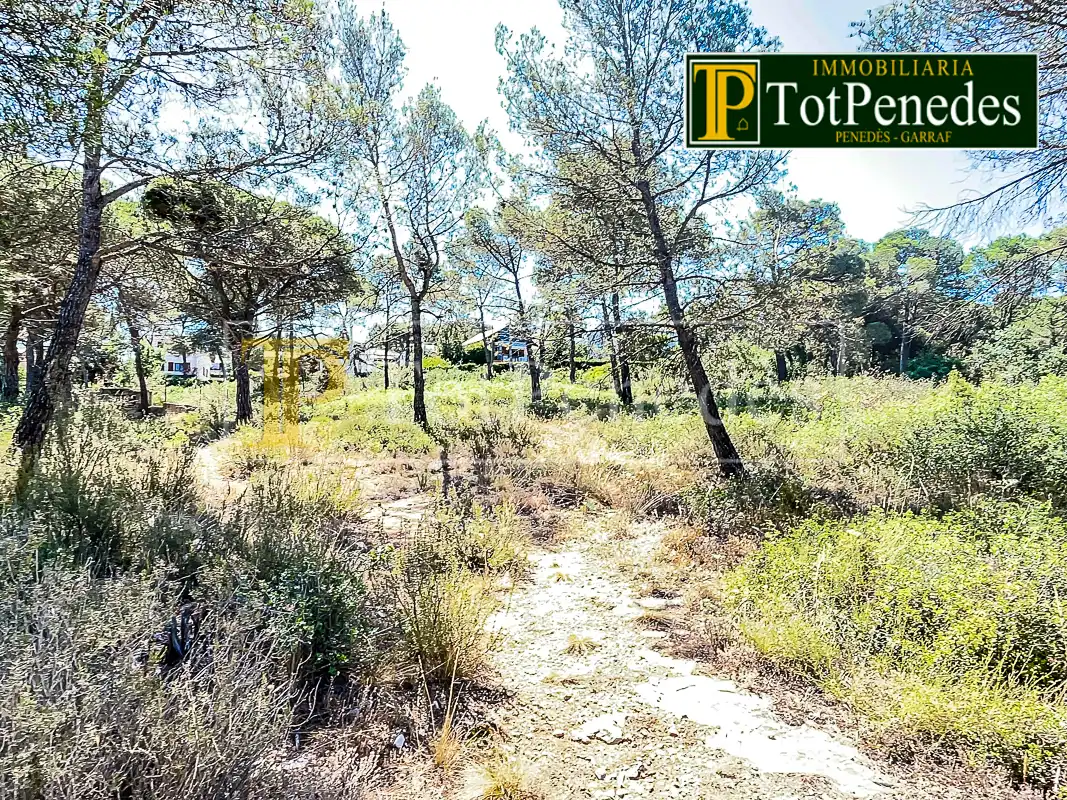 Terreny residencial en venda a Carrer Tarragona, imagen 7