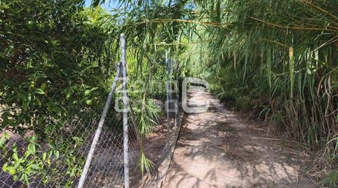 Foto 2 de Finca rústica en venta en Poligono 5 Paraje 34 Campins, Benicull de Xúquer, Valencia