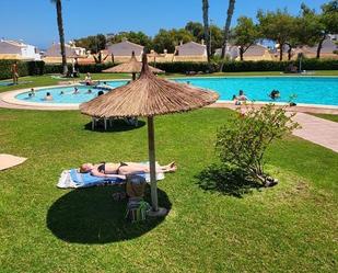 Piscina de Casa o xalet en venda en Torrevieja amb Aire condicionat i Terrassa