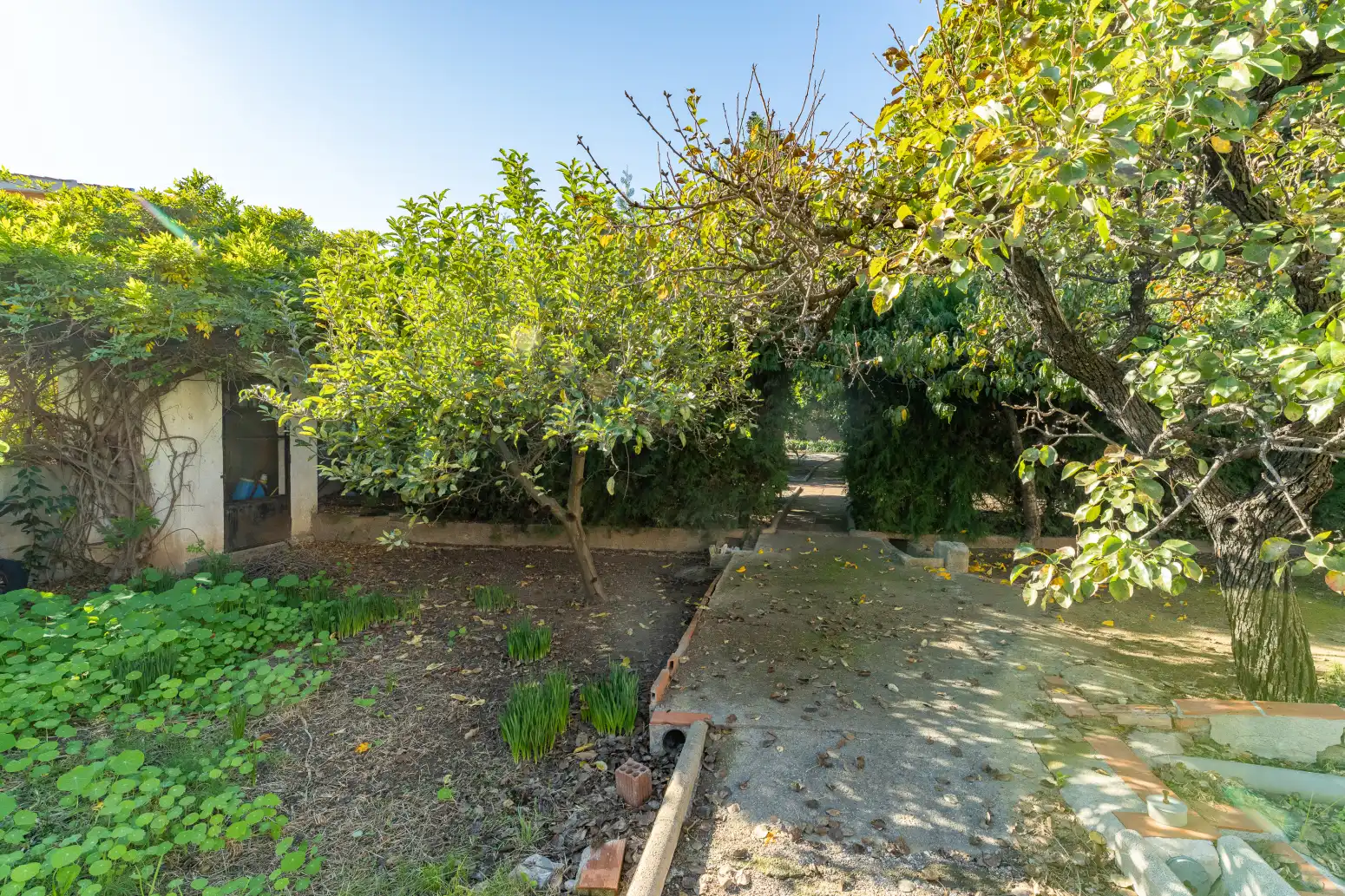 Casa o chalet en venta en La Selva del Camp