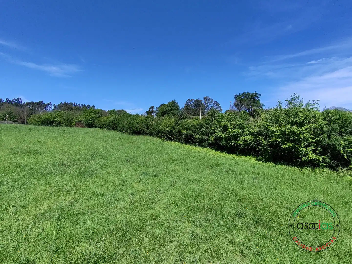 Terreno rustico in vendita a Gijón - CR DE GALLINAL 203, imagen 15