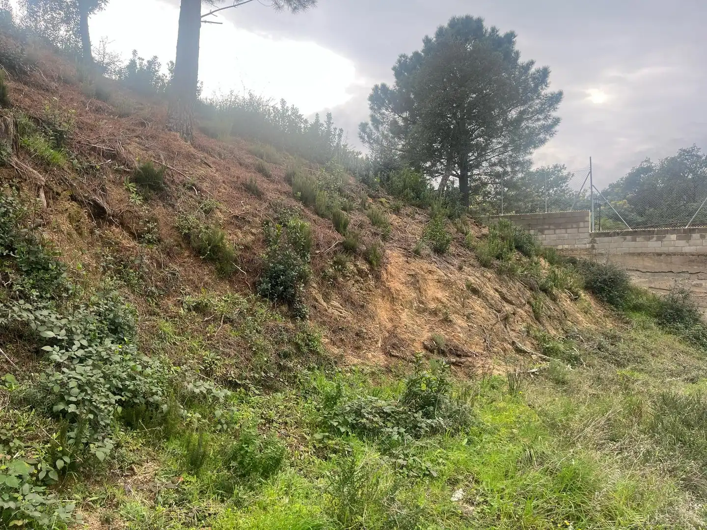 Residential land for sale in Lloret Residencial - Montlloret, imagen 4