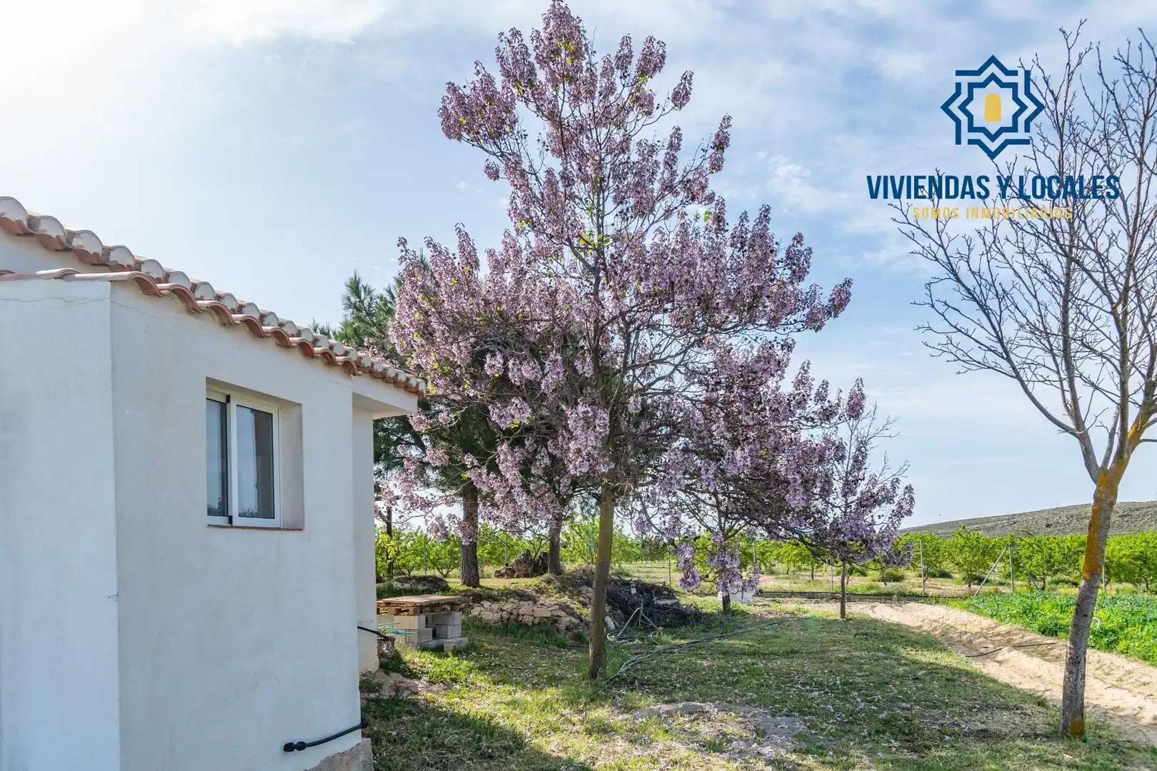 Terreni e lotti in vendita a Padul, imagen 33