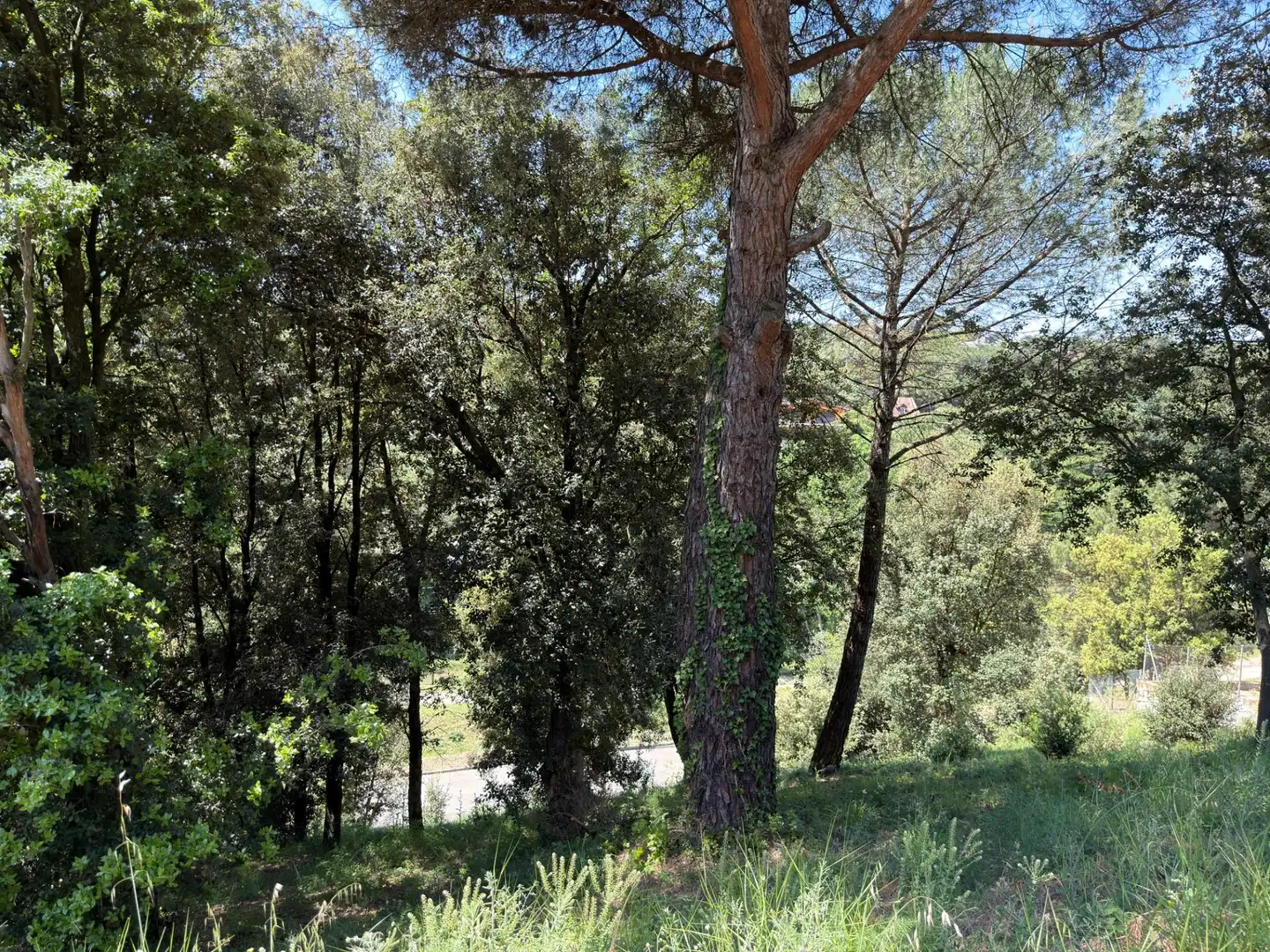 Residencial en venta en Sant Pere de Vilamajor