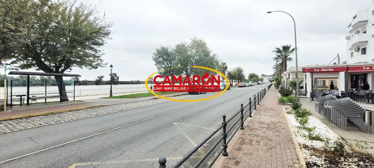 Local comercial en venta en Coria del Río, imagen 2