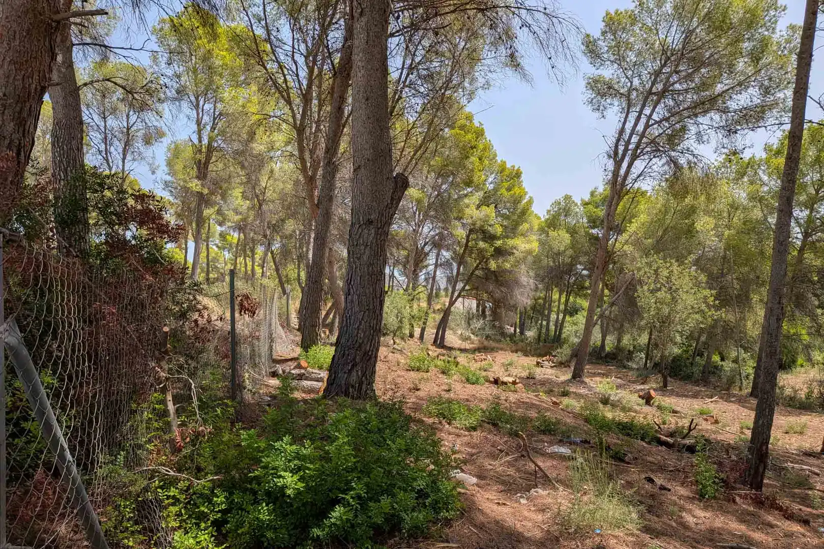 Grundstücke und Bauplätze zum Verkauf in Pinar del Advocat - Cometa, imagen 14