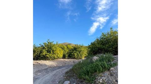 Photo 5 of Houses for sale in Poligono 7 Paraje 48 el Marchal, Cantoria, Almería