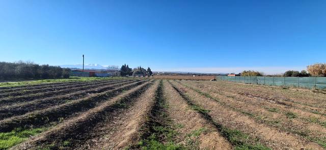 Terreno residencial en Venta en paraje mosquera en Azucarera