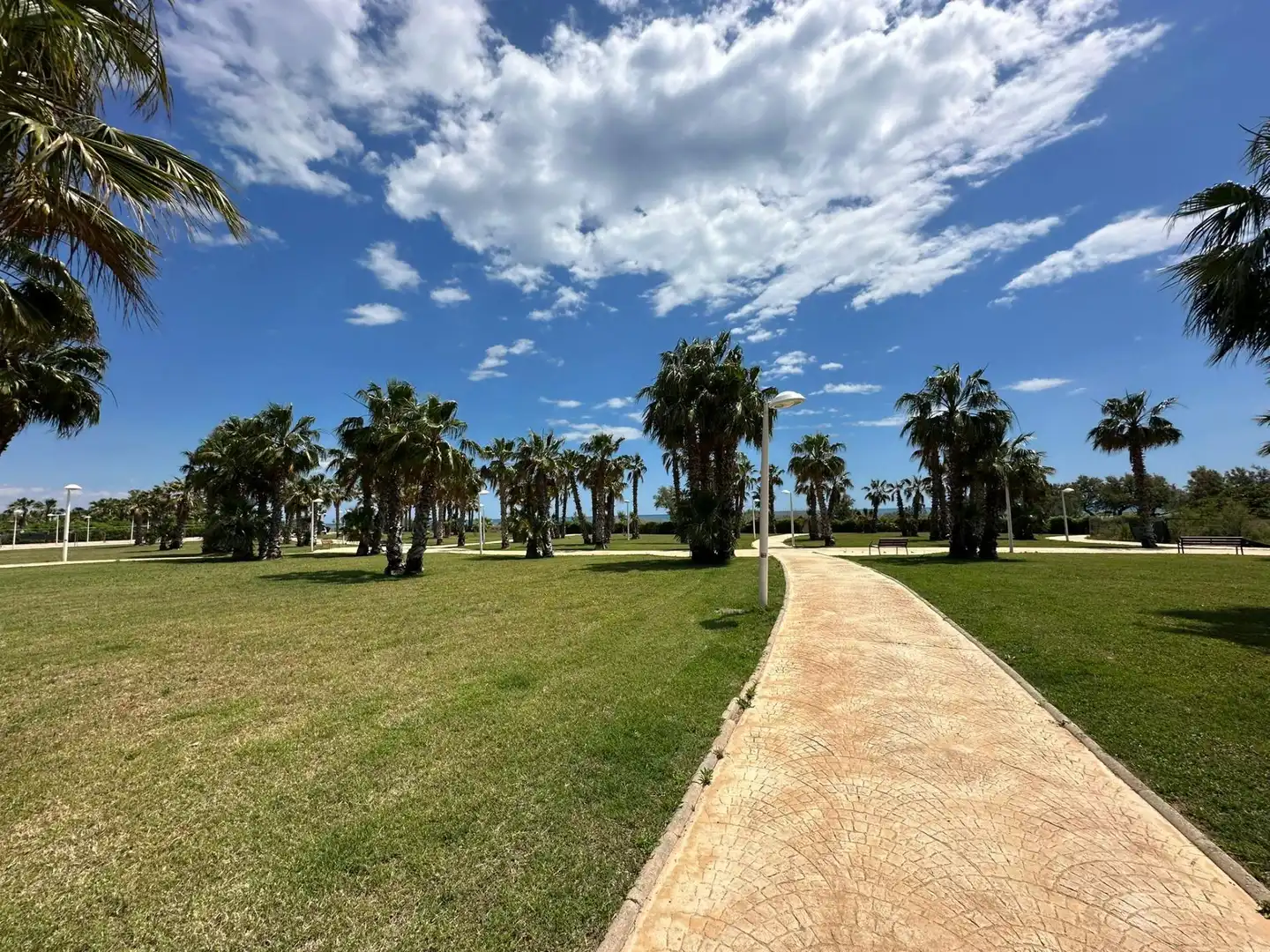 Apartament amb piscina en venda a Avenida Pai Sector Torre la Sal, imagen 63