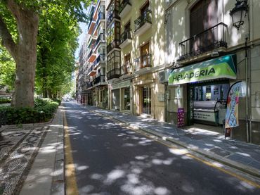 Local comercial en alquiler en Calle CARRERA DE LA VIRGEN 17