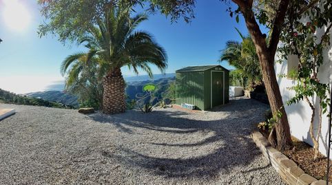 Foto 5 de Finca rústica de lloguer a Torrox Pueblo, Torrox