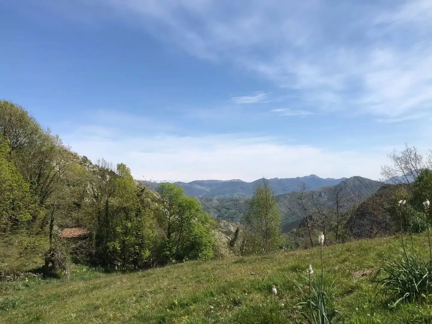 Terreno rustico in vendita a Cangas de Onís, imagen 17