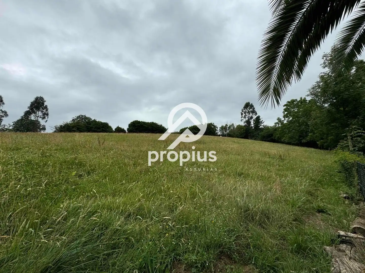 Rural land for sale in Arenas, imagen 23