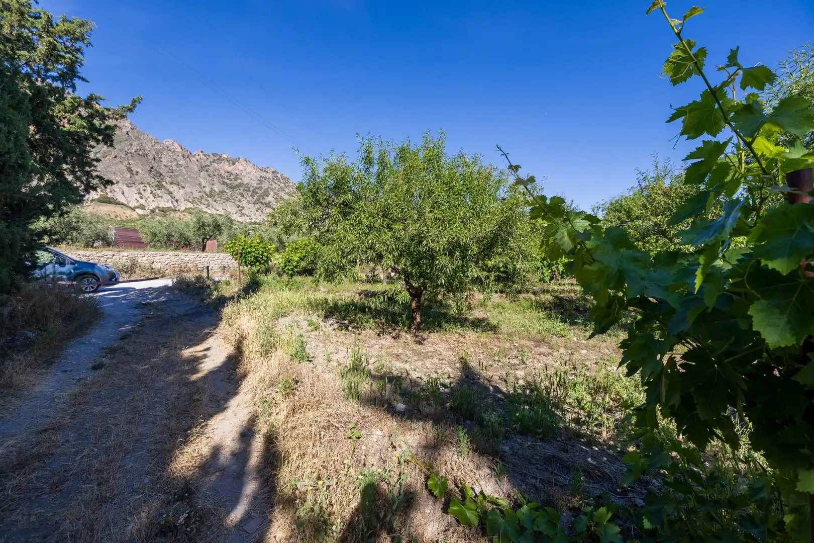 Rural land for sale in Dúrcal, imagen 5