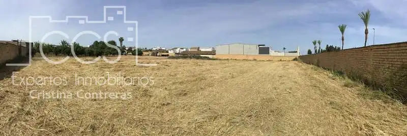 Terreni e lotti in vendita a Olivares, imagen 25