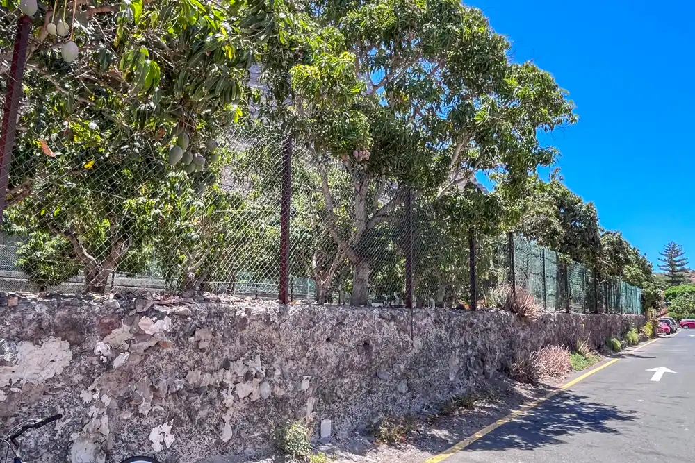 Exterior view of Residential for sale in Valle Gran Rey, Santa Cruz de Tenerife