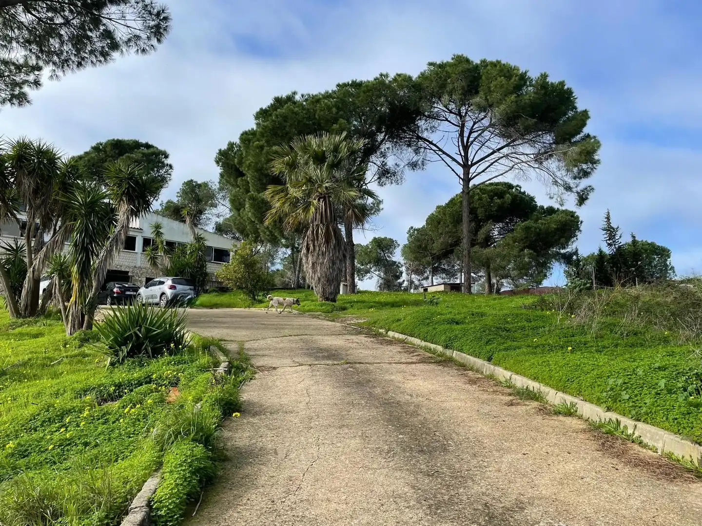 Landhaus mit Pool zum Verkauf in Lepe, imagen 28