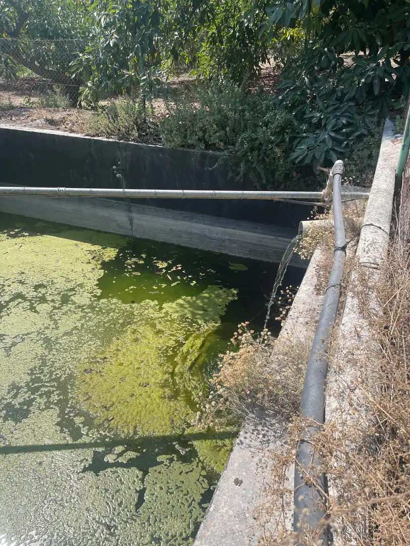 Terreni e lotti in vendita a Coín, imagen 25