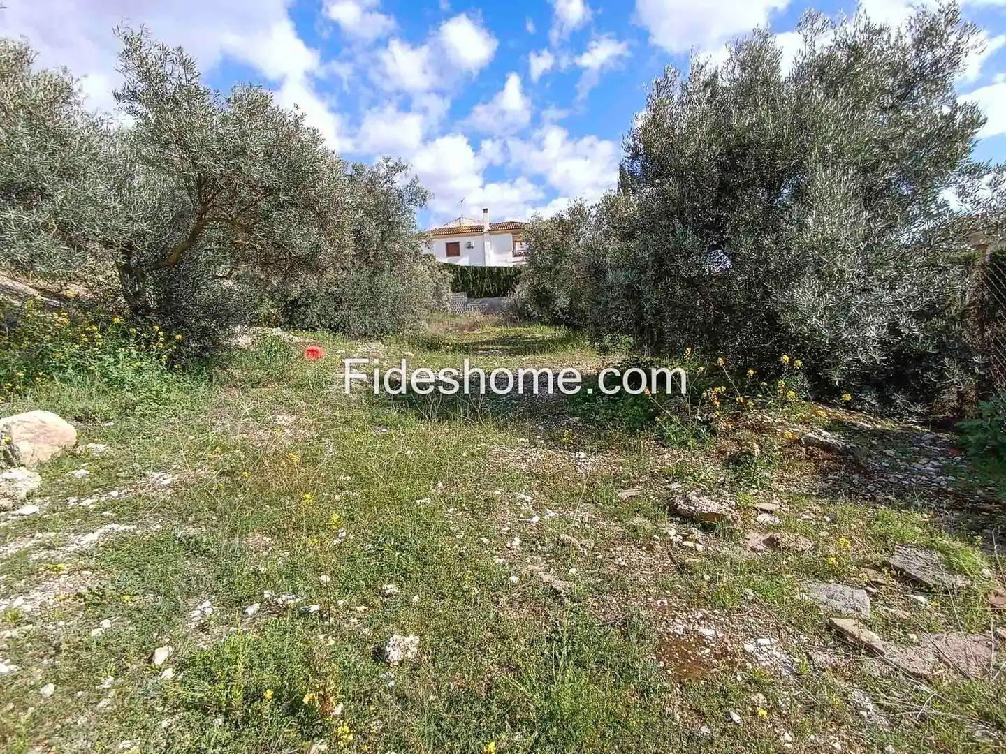 Rural land for sale in Calle Gabriel Garcia Marquez 9, imagen 9